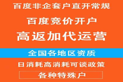 关键词竞价排名实战案例分析